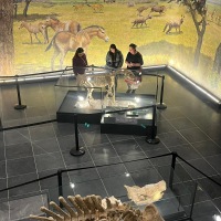 Geleneksel Türk Sanatları Bölümü Öğrencilerinin Kırşehir Müzelerine Eğitim Gezisi